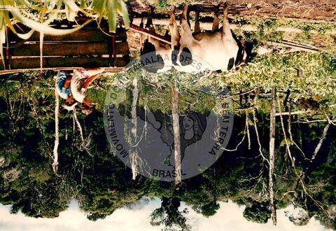 Original Digital object not accessible