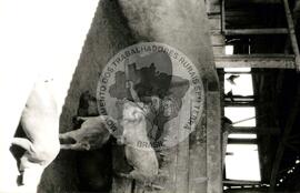 Assentamento do MST [sem identicação] (Dionísio Cerqueira-SC, set. 1995) [fotografia] / Fotógrafo(a) : Débora Lerrer. -- Ref.: BR-SPMST_MST-SN-CIN_AMP_000195-001403-ASS.