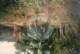 Ocupação Fazenda São Caetano (Pimenteiras-PI, 09 jun. 1995) [fotografia] / Fotógrafo(a) : Arquivo MST. -- Ref.: BR-SPMST_MST-SN-CIN_AMP_001877-014184-OCU.