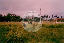 Curso de Agricultura Sustentável (Cuba, 1997) [fotografia] / Fotógrafo(a) : Arquivo MST. -- Ref.: BR-SPMST_MST-SN-CIN_AMP_001040-008269-RIT.