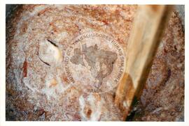 Semana Nacional de Cultura Brasileira e Reforma Agrária (Rio de Janeiro-RJ, 18 mar. 2002) [fotografia] / Fotógrafo(a) : Luciney Martins. -- Ref.: BR-SPMST_MST-SN-CIN_AMP_001824-013828-NDT.