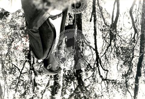 Original Objeto digital not accessible