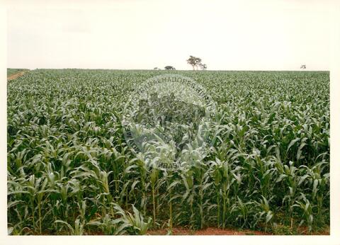 Original Document numérique not accessible