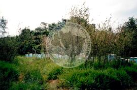 Inauguração da Rádio Comunitária (Itapeva-SP, 28 nov. 2008) [fotografia] / Fotógrafo(a) : Cláudio Foschieira. -- Ref.: BR-SPMST_MST-SN-CIN_AMP_000695-004028-ARV.