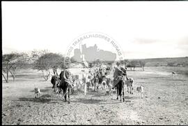 Assentamento "Vitória" do MST (Ceará, [sem data]) [fotografia] / Fotógrafo(a) : Arquivo MST ; Débora Lerrer. -- Ref.: BR-SPMST_MST-SN-CIN_AMP_000322-001564-ASS.