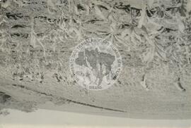 Mutirão Assentamento "CEMAPA" do MST (Rio Grande do Sul, 1982) [fotografia] / Fotógrafo(a) : Arquivo MST. -- Ref.: BR-SPMST_MST-SN-CIN_AMP_000173-001244-ASS.