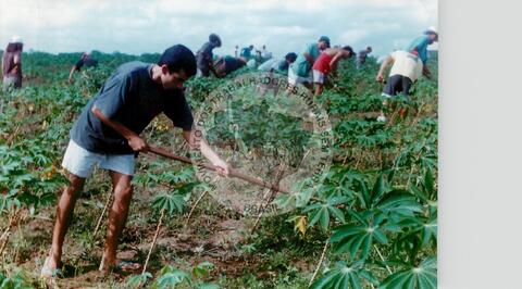 Original Objeto digital not accessible