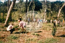Ocupação Fazenda Dissenha (Abelardo Luz-SC, [sem data]) [fotografia] / Fotógrafo(a) : Arquivo MST. -- Ref.: BR-SPMST_MST-SN-CIN_AMP_001861-014136-OCU.