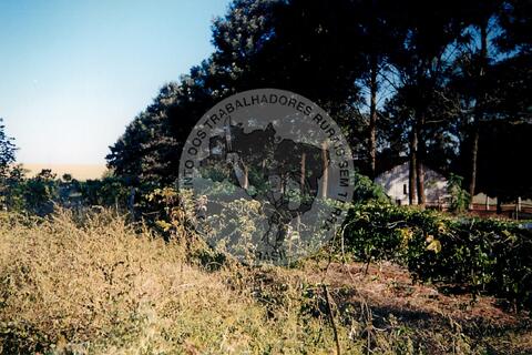 Original Digitaal object not accessible