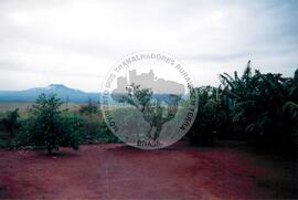 Assentamento "Ribeirão Bonito"do MST (Rio Grande do Sul, [sem data]) [fotografia] / Fotógrafo(a) : Arquivo MST. -- Ref.: BR-SPMST_MST-SN-CIN_AMP_000185-001304-ASS.