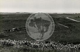 Assentamento "Conquista da Fronteira do MST (Hulha Negra-RS, nov. 1993) [fotografia] / Fotógrafo(a) : Milton Pomar. -- Ref.: BR-SPMST_MST-SN-CIN_AMP_000178-001279-ASS.