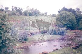 Viagem de José Campos (Índia, 2002) [fotografia] / Fotógrafo(a) : Arquivo MST. -- Ref.: BR-SPMST_MST-SN-CIN_AMP_001141-009578-RIT.