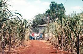 Encontro Internacional de Agricultura e Cooperativismo, 2o (Mato Grosso do Sul, [sem data]) [fotografia] / Fotógrafo(a) : Arquivo MST. -- Ref.: BR-SPMST_MST-SN-CIN_AMP_001156-009874-RIT.