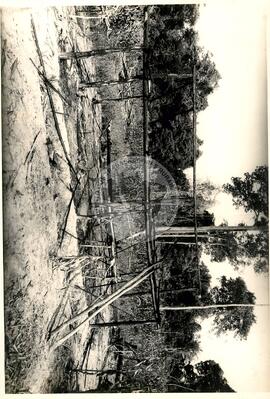 Velório, cortejo e enterro de vítimas do massacre de Eldorado dos Carajás (Brasil, [sem data]) [fotografia] / Fotógrafo(a) : Arquivo MST ; João Ripper. -- Ref.: BR-SPMST_MST-SN-CIN_AMP_001792-012969-VPP.