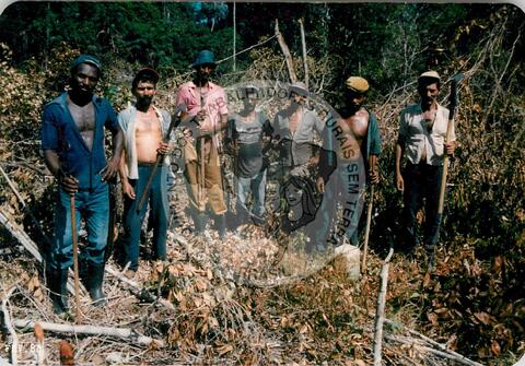 Original Document numérique not accessible