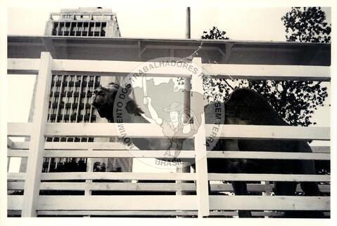 Original Digitaal object not accessible