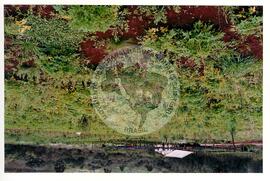 Assentamento "30 de outubro" do MST (Santa Catarina, [sem data]) [fotografia] / Fotógrafo(a) : Douglas Mansur. -- Ref.: BR-SPMST_MST-SN-CIN_AMP_000199-001467-ASS.