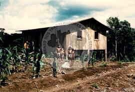Assentamento "25 de Maio" do MST (Ponte Serrada-SC, fev. 1988) [fotografia] / Fotógrafo(a) : Arquivo MST. -- Ref.: BR-SPMST_MST-SN-CIN_AMP_000191-001353-ASS.