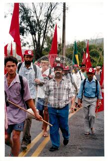 Original Document numérique not accessible