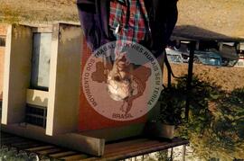 Emir Sader [sociólogo , professor] (Brasil, [sem data]) [fotografia] / Fotógrafo(a) : Douglas Mansur. -- Ref.: BR-SPMST_MST-SN-CIN_AMP_001513-011951-PER.