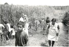 Grupo Projeto Liberdade-Despejo Fazenda Pandeny (São Paulo (Estado), [sem data]) [fotografia] / Fotógrafo(a) : Douglas Mansur. -- Ref.: BR-SPMST_MST-SN-CIN_AMP_001791-012946-VPP.