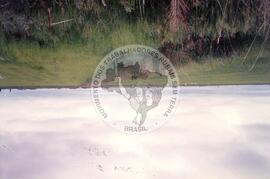 Acampamento Fazenda Pontal do Tigre (Querência do Norte-PR, 03 abr. 1989) [fotografia] / Fotógrafo(a) : Arquivo MST. -- Ref.: BR-SPMST_MST-SN-CIN_AMP_001984-015202-PDU.