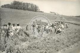 Mutirão Assentamento "CEMAPA" do MST (Rio Grande do Sul, 1982) [fotografia] / Fotógrafo(a) : Arquivo MST. -- Ref.: BR-SPMST_MST-SN-CIN_AMP_000173-001243-ASS.