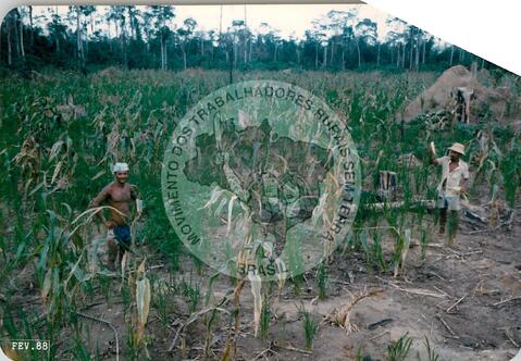 Original Digitaal object not accessible