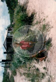 Original Document numérique not accessible