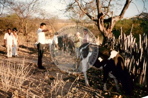 Original Objeto digital not accessible