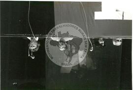 Luíza Erundina (Brasil, [sem data]) [fotografia] / Fotógrafo(a) : Douglas Mansur ; Juan Pezzuto ; Regina Vilela. -- Ref.: BR-SPMST_MST-SN-CIN_AMP_001624-012408-PER.