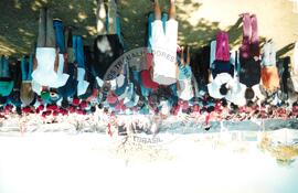 Mobilização em Brasília durante a Jornada Nacional "Acampamento Nacional Eldorado dos Carajás" (Brasília-DF, 03 set. 2001) [fotografia] / Fotógrafo(a) : Gildo Aguiar. -- Ref.: BR-SPMST_MST-SN-CIN_AMP_001918-014417-SJM.