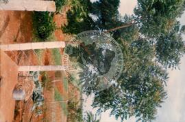 Curso de Agricultura Sustentável (Cuba, 1997) [fotografia] / Fotógrafo(a) : Arquivo MST. -- Ref.: BR-SPMST_MST-SN-CIN_AMP_001040-008275-RIT.