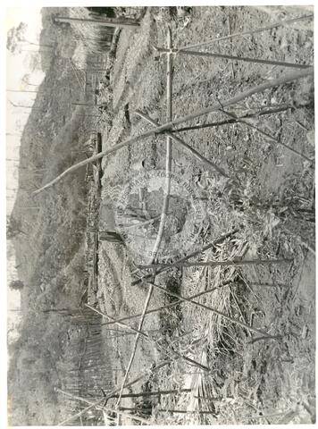 Original Document numérique not accessible