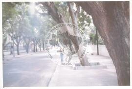 Intercâmbio com a UNAC (Moçambique, ago. 2000) [fotografia] / Fotógrafo(a) : Arquivo MST. -- Ref.: BR-SPMST_MST-SN-CIN_AMP_001092-008871-RIT.