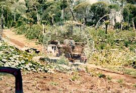 Assentamento "Fogo na Ponte" do MST (Santa Catarina, [sem data]) [fotografia] / Fotógrafo(a) : Arquivo MST. -- Ref.: BR-SPMST_MST-SN-CIN_AMP_000202-001500-ASS.