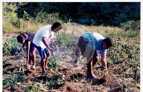 Original Document numérique not accessible