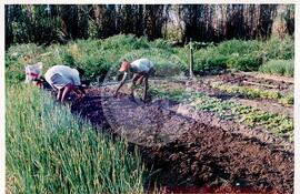 Curso Prolongado região sudeste - CIDAP (São Matheus-ES, ago. 2000) [fotografia] / Fotógrafo(a) : Leticia Barqueta. -- Ref.: BR-SPMST_MST-SN-CIN_AMP_000822-005457-CUR.