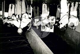 Edgard Kolling (Brasil, [sem data]) [fotografia] / Fotógrafo(a) : Arquivo MST ; Bernardo Flauzano ; Douglas Mansur ; Francisca Montejo ; Verinha. -- Ref.: BR-SPMST_MST-SN-CIN_AMP_001204-010348-LID.