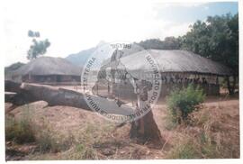 Intercâmbio com a UNAC (Moçambique, ago. 2000) [fotografia] / Fotógrafo(a) : Arquivo MST. -- Ref.: BR-SPMST_MST-SN-CIN_AMP_001092-008830-RIT.