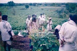 Viagem de José Campos (Índia, 2002) [fotografia] / Fotógrafo(a) : Arquivo MST. -- Ref.: BR-SPMST_MST-SN-CIN_AMP_001141-009572-RIT.