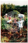 Tribunal Internacional dos Crimes do Latifúndio e da Política Governamental de Violação dos Direitos Humanos (Curitiba-PR, 02 mai. 2001) [fotografia] / Fotógrafo(a) : Douglas Mansur. -- Ref.: BR-SPMST_MST-SN-CIN_AMP_000135-001013-ACS.