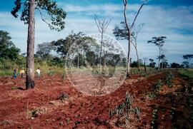 Assentamento "Ribeirão Bonito"do MST (Rio Grande do Sul, [sem data]) [fotografia] / Fotógrafo(a) : Arquivo MST. -- Ref.: BR-SPMST_MST-SN-CIN_AMP_000186-001323-ASS.