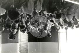 Francisco Tibúrcio, mandante do assassinato do lavrador Carlos Silva (Vale do Ribeira-SP, jun. 1985) [fotografia] / Fotógrafo(a) : Luiz Henrique Prado. -- Ref.: BR-SPMST_MST-SN-CIN_AMP_001796-012989-VPP.