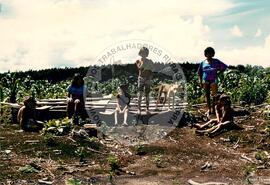 Assentamento "25 de Maio" do MST (Ponte Serrada-SC, fev. 1988) [fotografia] / Fotógrafo(a) : Arquivo MST. -- Ref.: BR-SPMST_MST-SN-CIN_AMP_000191-001365-ASS.