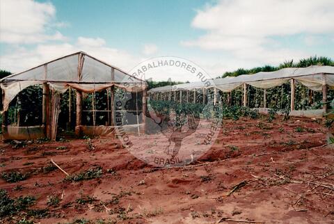 Original Document numérique not accessible