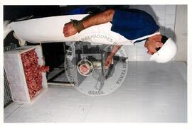 Produção no assentamento (Miscêlenia-SP, [sem data]) [fotografia] / Fotógrafo(a) : Douglas Mansur. -- Ref.: BR-SPMST_MST-SN-CIN_AMP_001972-015125-PDU.