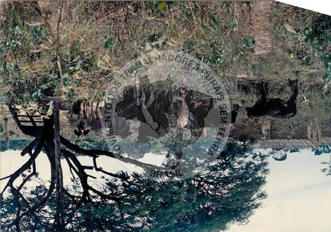 Original Document numérique not accessible