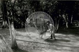 Assentamento do MST [sem identificação] (Rio Grande do Norte, nov. 1993) [fotografia] / Fotógrafo(a) : Milton Pomar. -- Ref.: BR-SPMST_MST-SN-CIN_AMP_000341-001630-ASS.