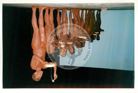 Mística de Abertura do Tribunal (Curitiba-PR, 02 mai. 2001) [fotografia] / Fotógrafo(a) : Douglas Mansur. -- Ref.: BR-SPMST_MST-SN-CIN_AMP_001917-014360-SJM.